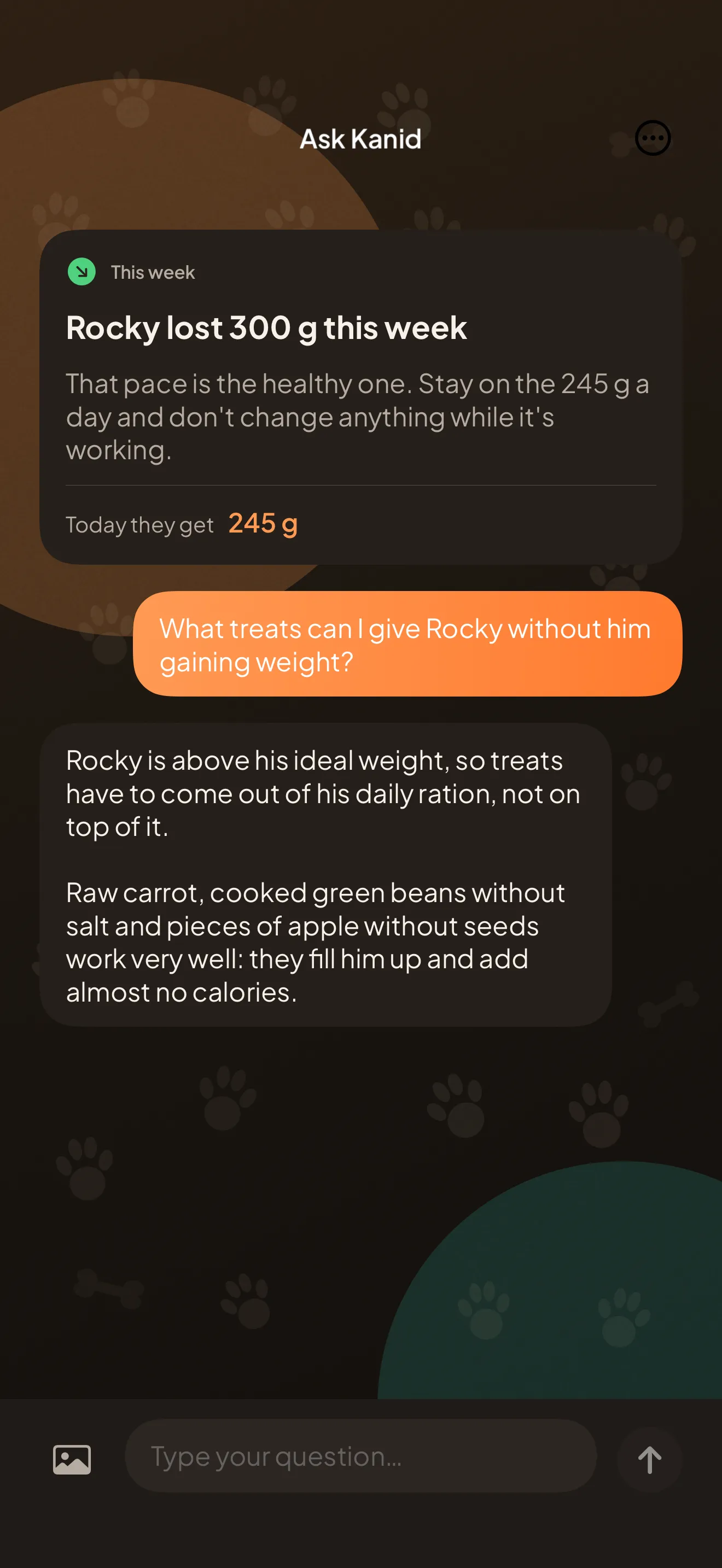 The chat screen: the weekly review card and an answer about treats for a dog above its ideal weight.