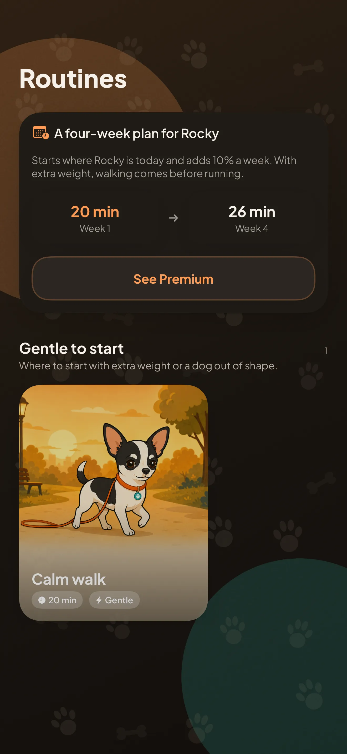 The routines screen: the four-week plan for Rocky, from 20 to 26 minutes, and the exercise routines starting with the gentlest ones.